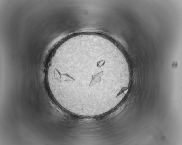 X0000099231406200805221826