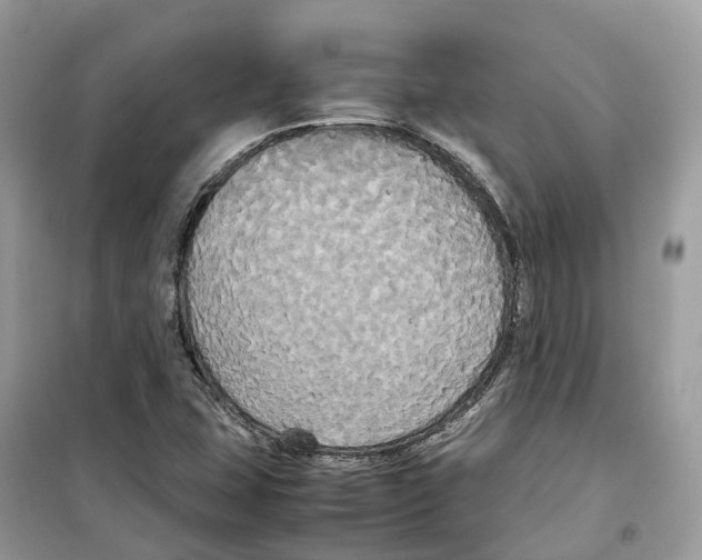 X0000099231407200805221826