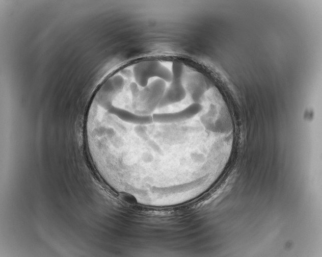 X0000099231409200805221826