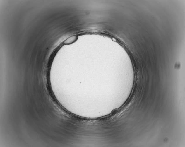 X0000099231410200805221826