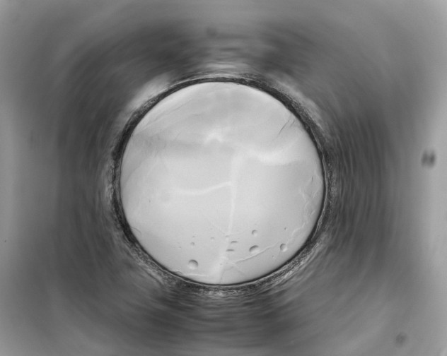 X0000099231411200805221826