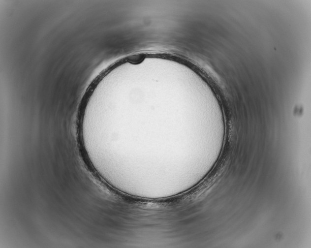 X0000099231412200805221826