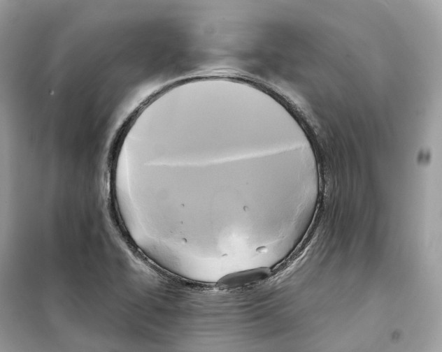 X0000099231414200805221826