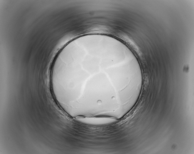 X0000099231419200805221826