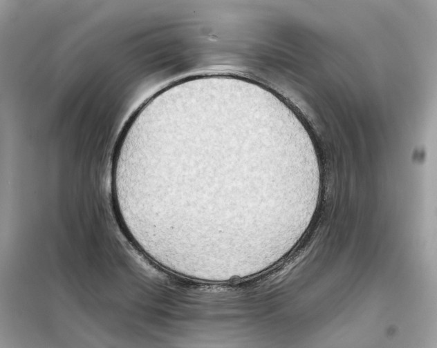 X0000099231420200805221826