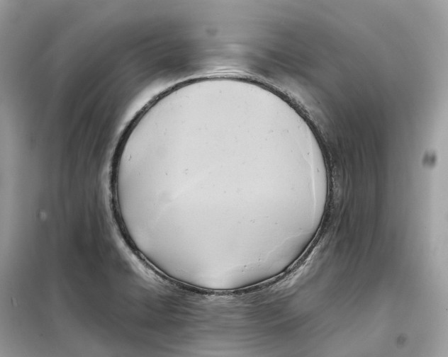 X0000099231422200805221826