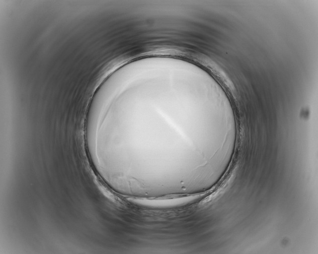 X0000099231425200805221826