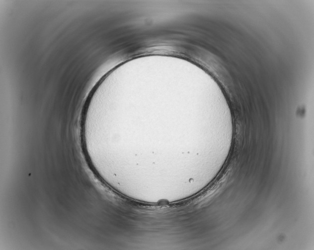 X0000099231426200805221826