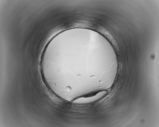 X0000099231427200805221826