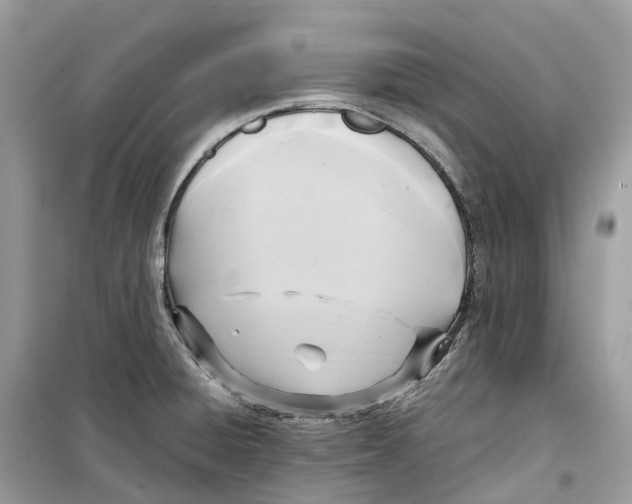 X0000099231428200805221826