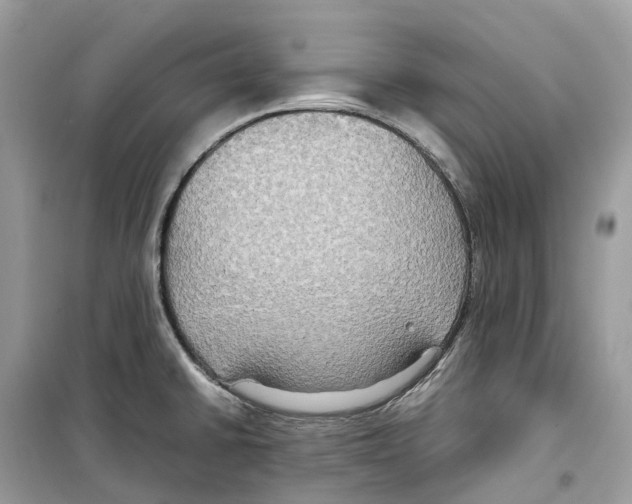 X0000099231430200805221826