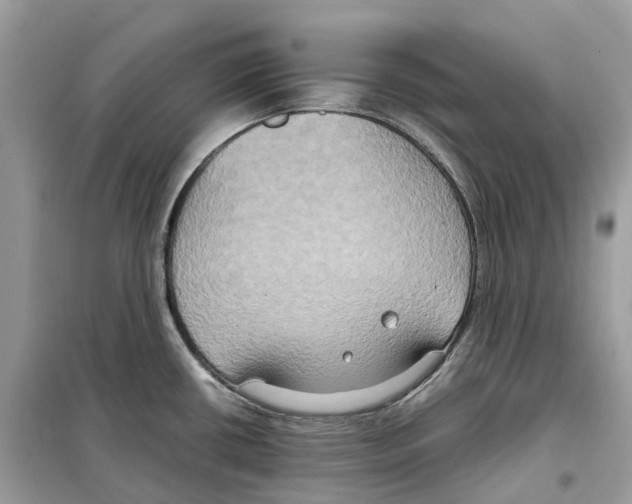 X0000099231434200805221826