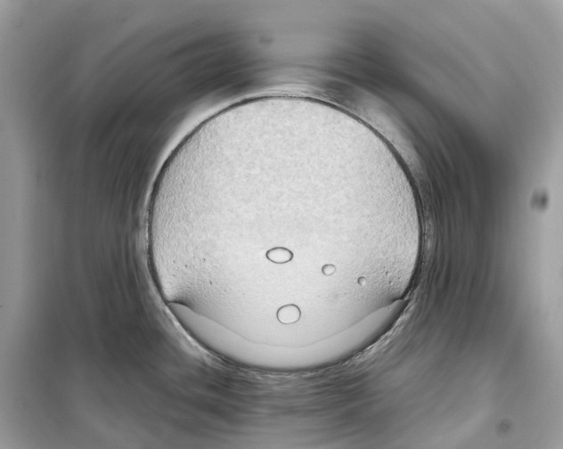 X0000099231436200805221827