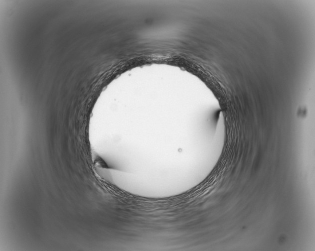 X0000099231441200805221826