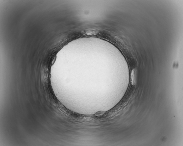 X0000099231443200805221826