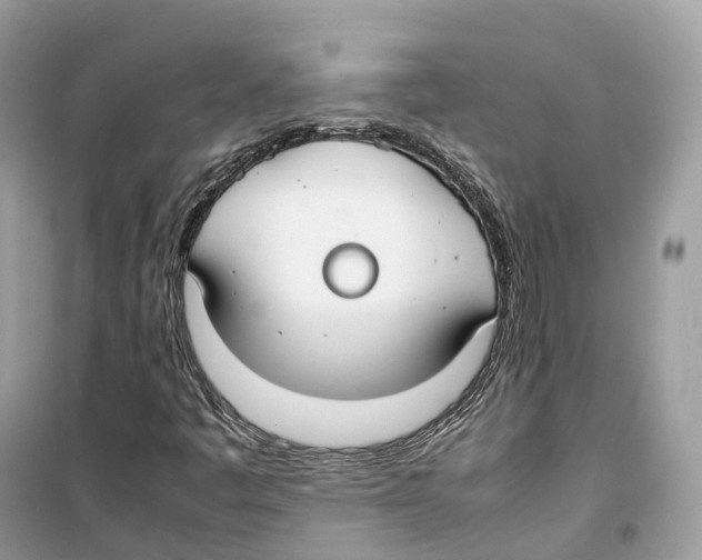 X0000099231445200805221826