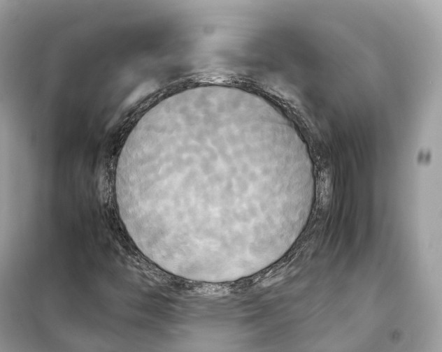 X0000099231446200805221826