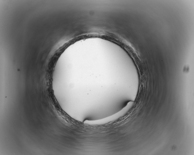 X0000099231448200805221826