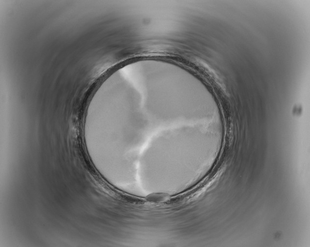 X0000099231449200805221826