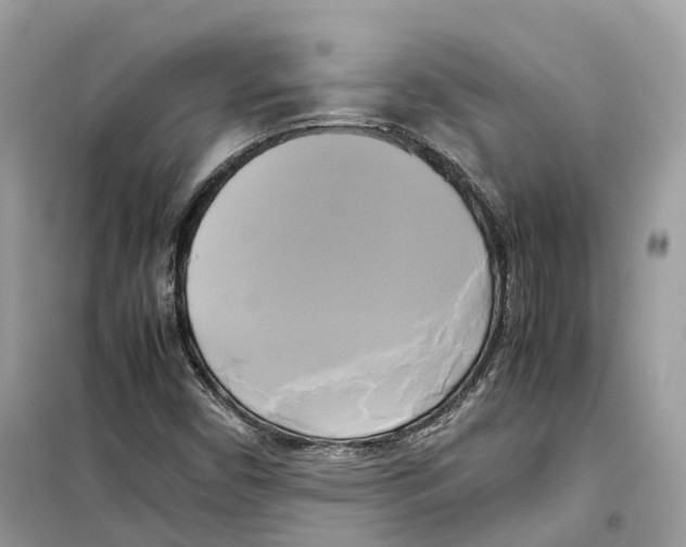 X0000099231450200805221826