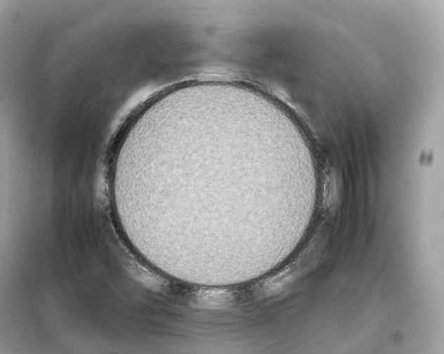 X0000099231454200805221826