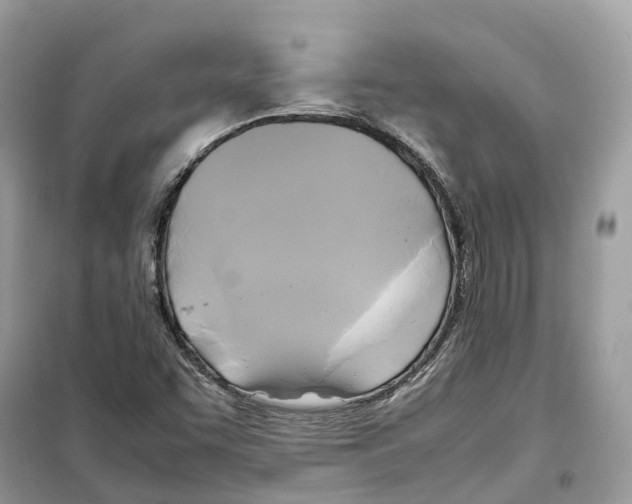 X0000099231455200805221826