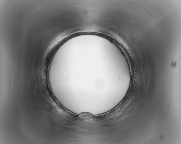 X0000099231456200805221826