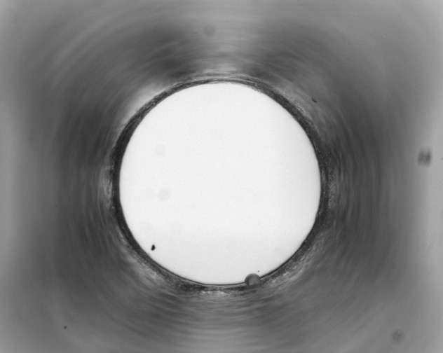 X0000099231458200805221826