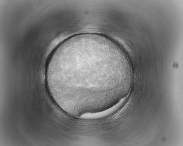 X0000099231461200805221826