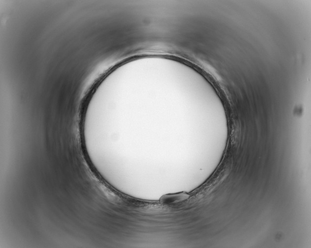 X0000099231464200805221826