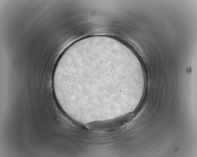 X0000099231465200805221826