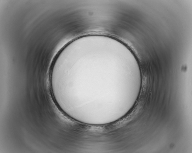 X0000099231466200805221826