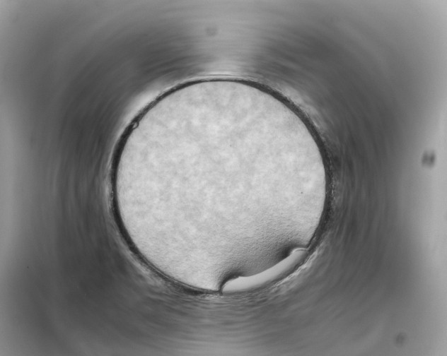 X0000099231469200805221826