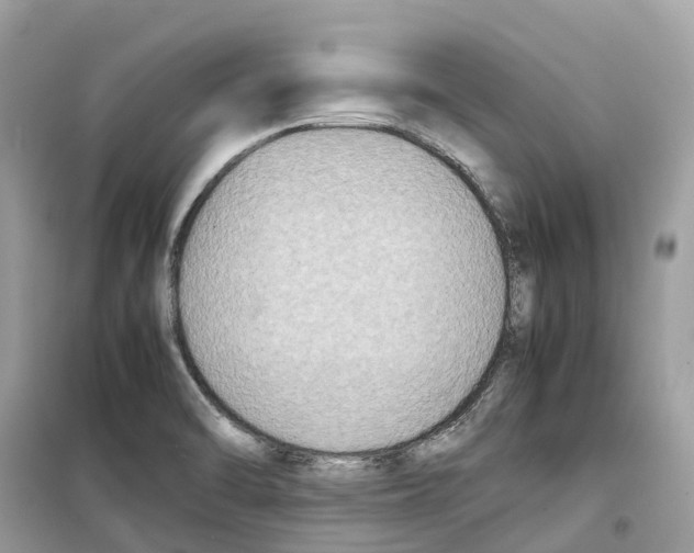 X0000099231470200805221826