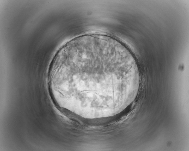 X0000099231471200805221825