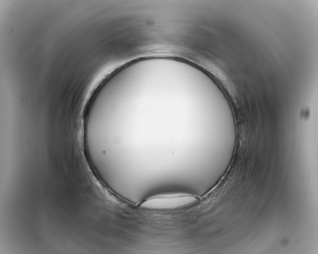 X0000099231472200805221825