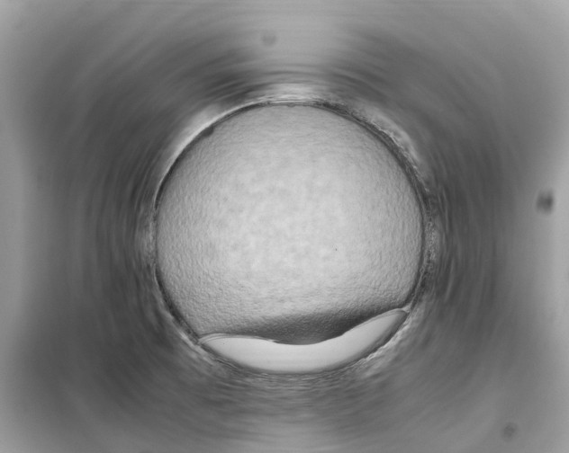 X0000099231473200805221825