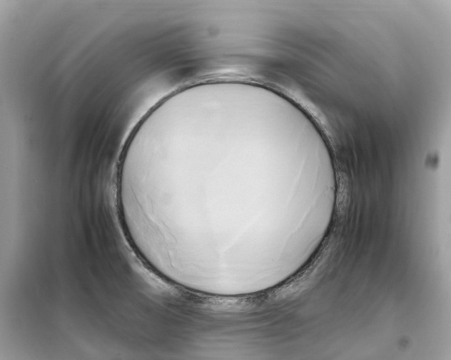 X0000099231474200805221825