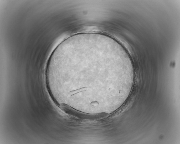 X0000099231475200805221825