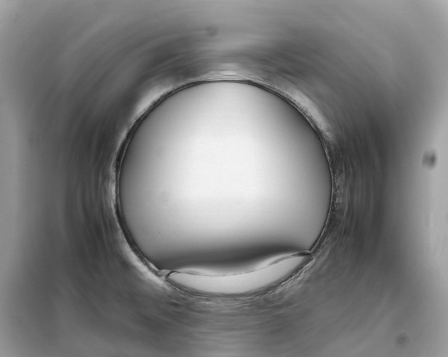 X0000099231476200805221825