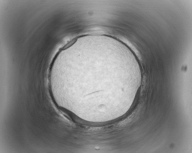 X0000099231477200805221825