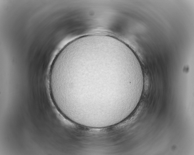 X0000099231478200805221825