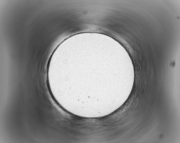 X0000099231479200805221825