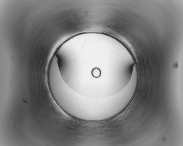 X0000099231480200805221825