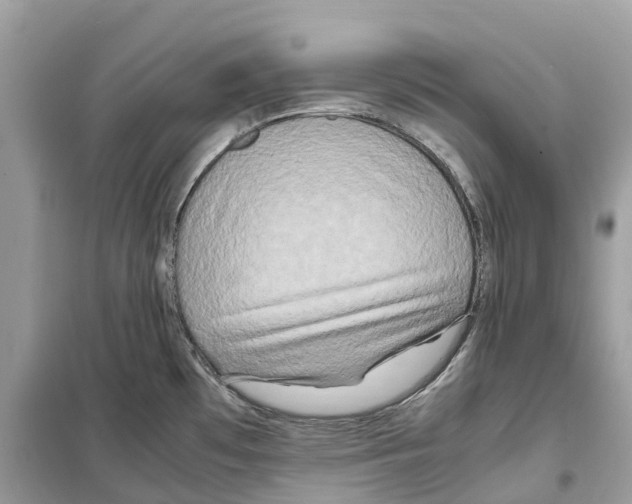 X0000099231481200805221825