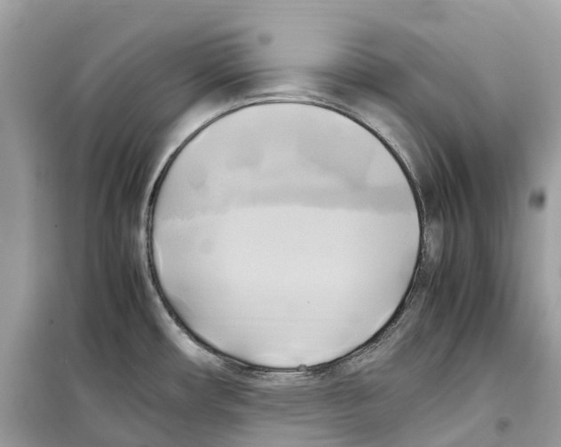 X0000099231482200805221825