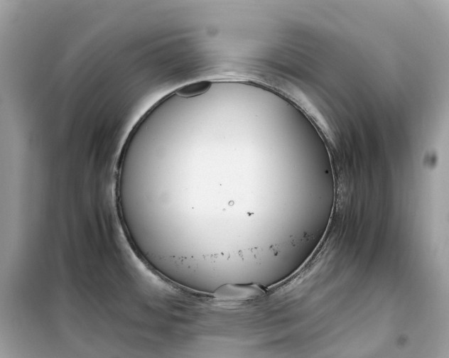 X0000099231484200805221825