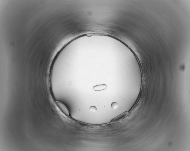 X0000099231485200805221825