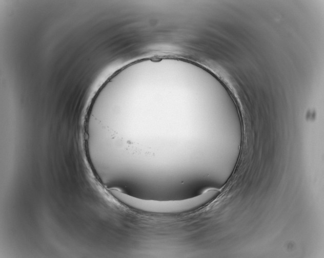 X0000099231488200805221825