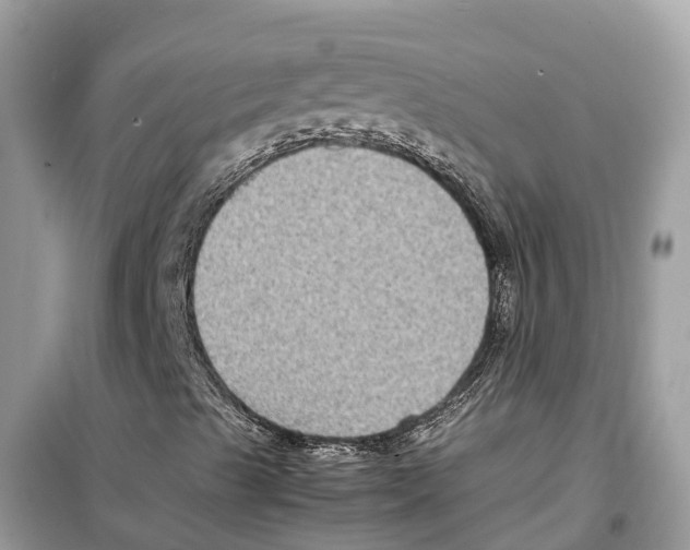 X0000099231489200805221824